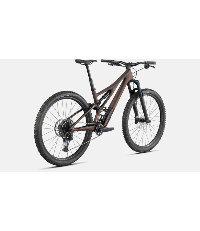 Specialized 2022 Stumpjumper Expert