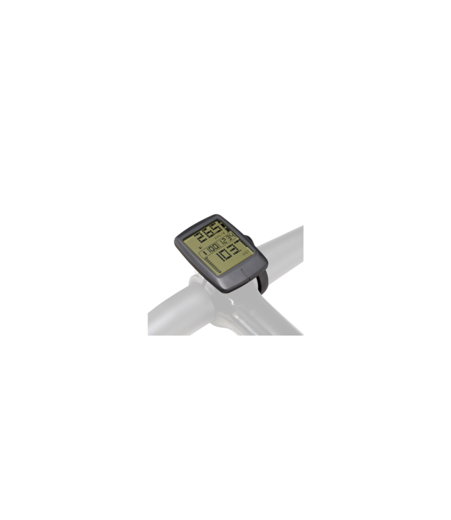 Specialized Turbo Connect Display (TCD)
