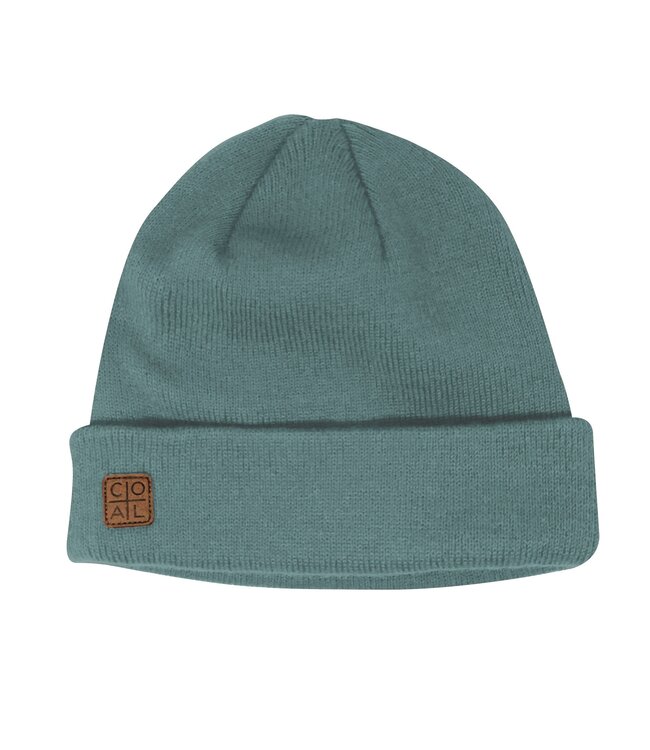 Coal Headwear The Harbor Beanie