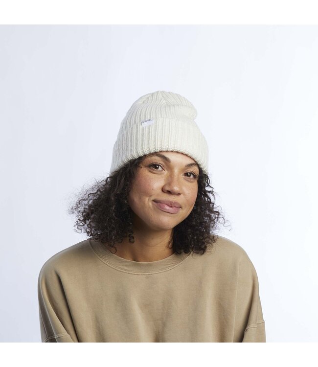 Coal Headwear The Dan Beanie