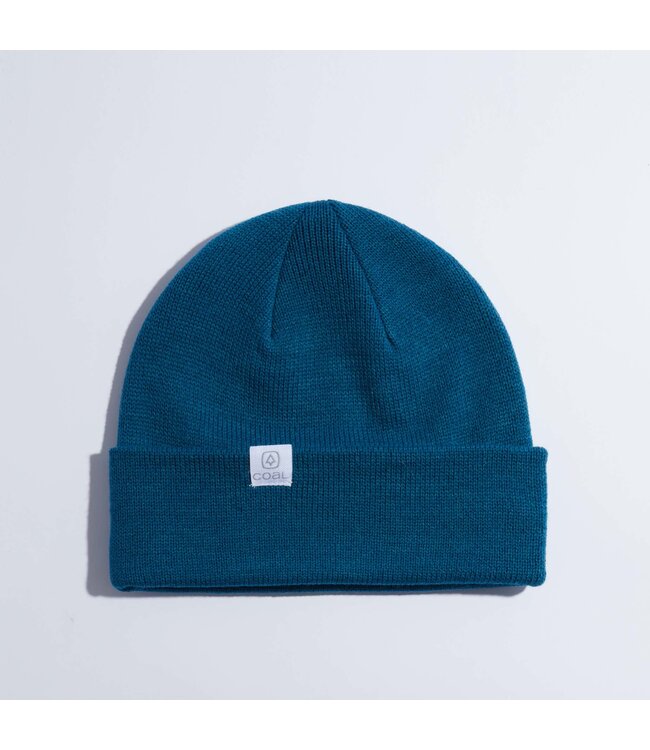 Coal Headwear The FLT Beanie