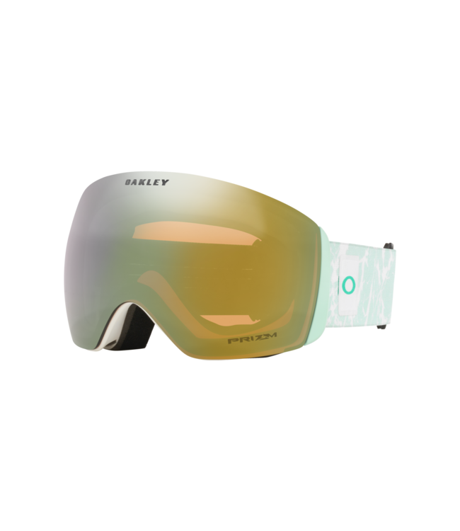 Oakley Flight Deck L Snow Goggles