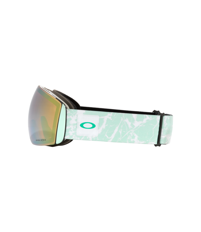 Oakley Flight Deck L Snow Goggles