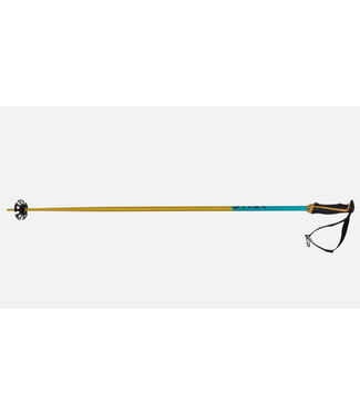 Volkl Phantastick 18mm Poles