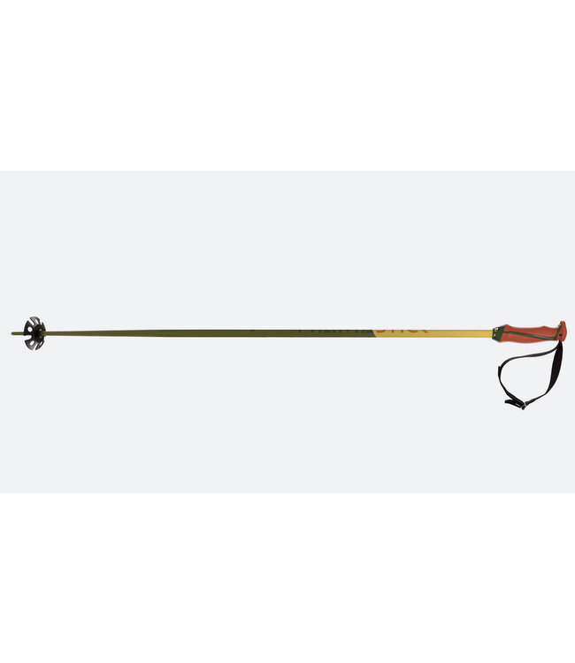 Völkl Phantastick 18mm Poles