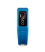 Garmin Vivofit Fitness Band