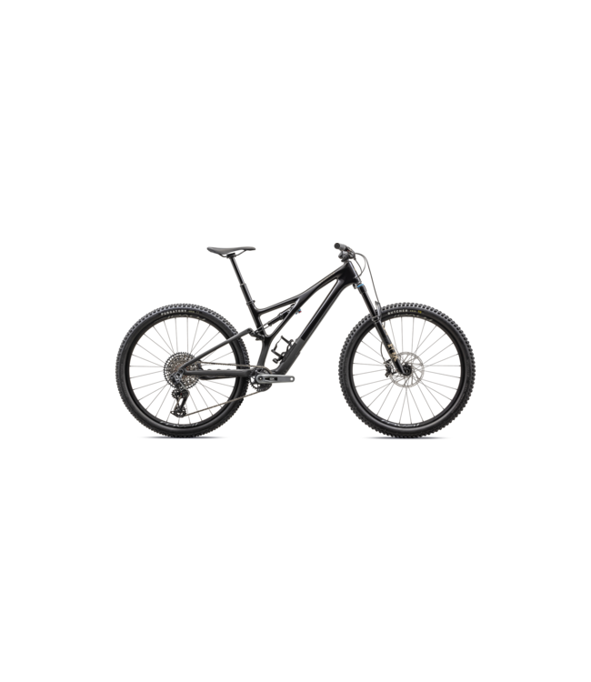 Specialized 2023 Stumpjumper Expert T-Type
