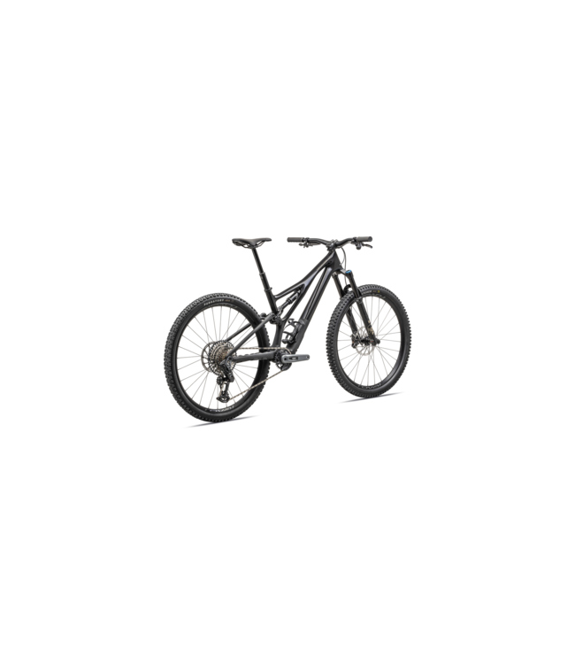 Specialized 2023 Stumpjumper Expert T-Type