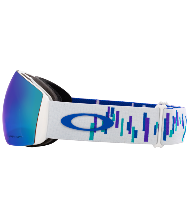 Oakley Flight Deck L Snow Goggles