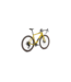 Specialized 2024 Diverge Comp Carbon