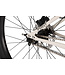 Pivot Cycles 2024 Point