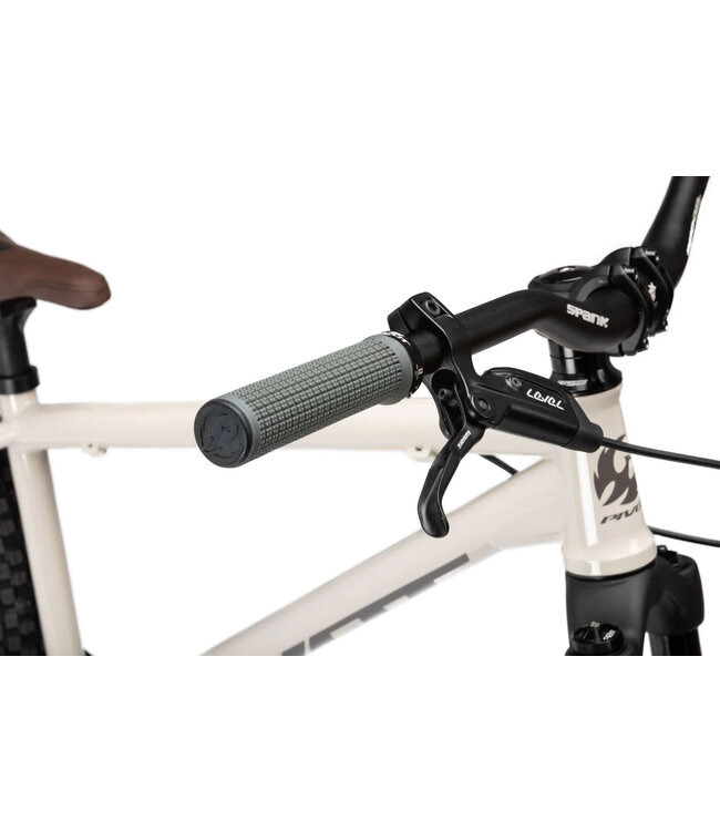 Pivot Cycles 2024 Point