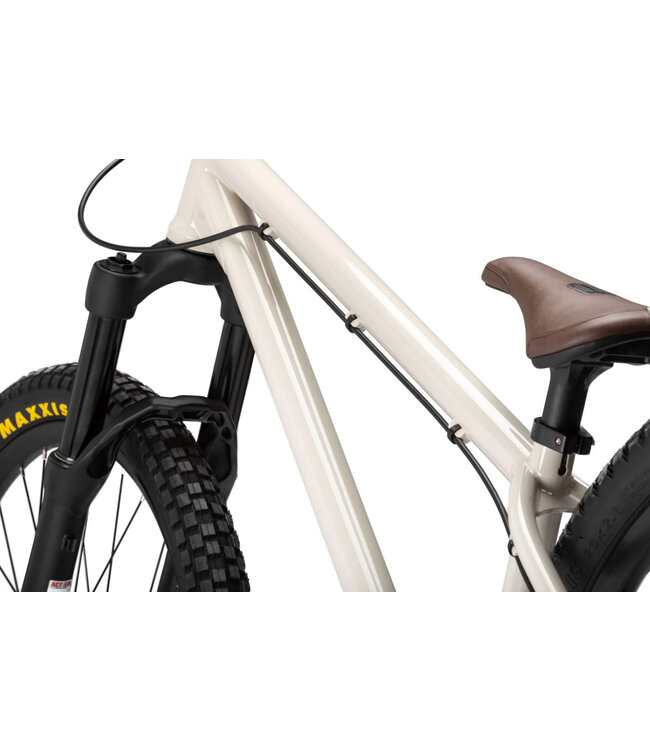 Pivot Cycles 2024 Point