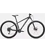 Specialized 2025 Rockhopper Base 29