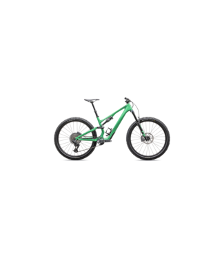 Specialized Stumpjumper 15 Expert