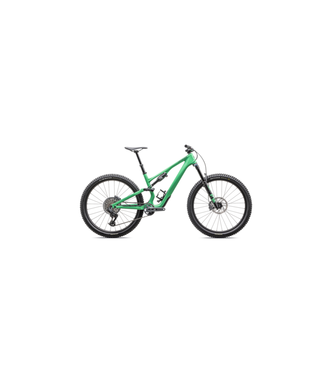 Specialized Stumpjumper 15 Expert