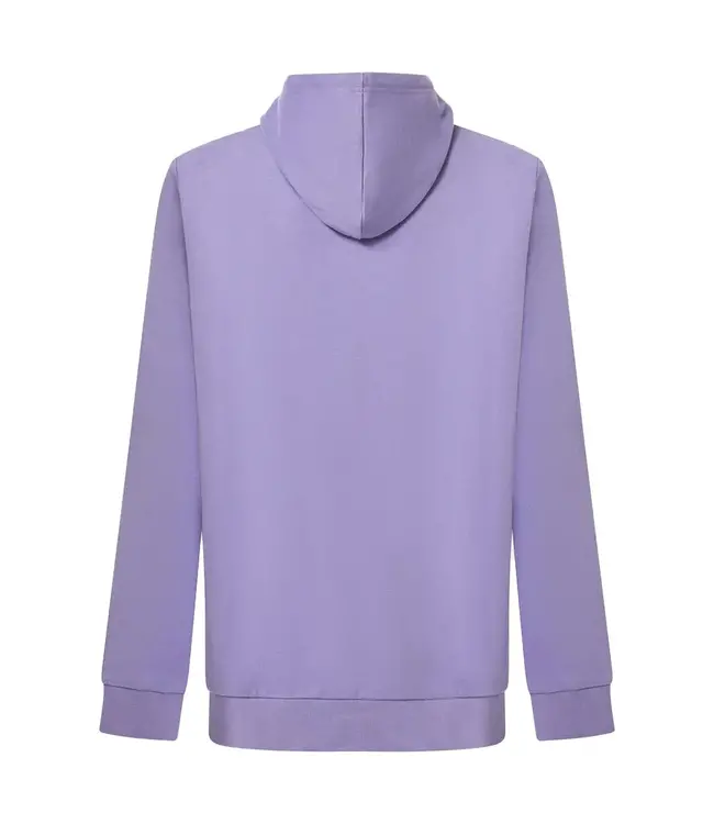 Oakley B1B PO Hoodie 2.0