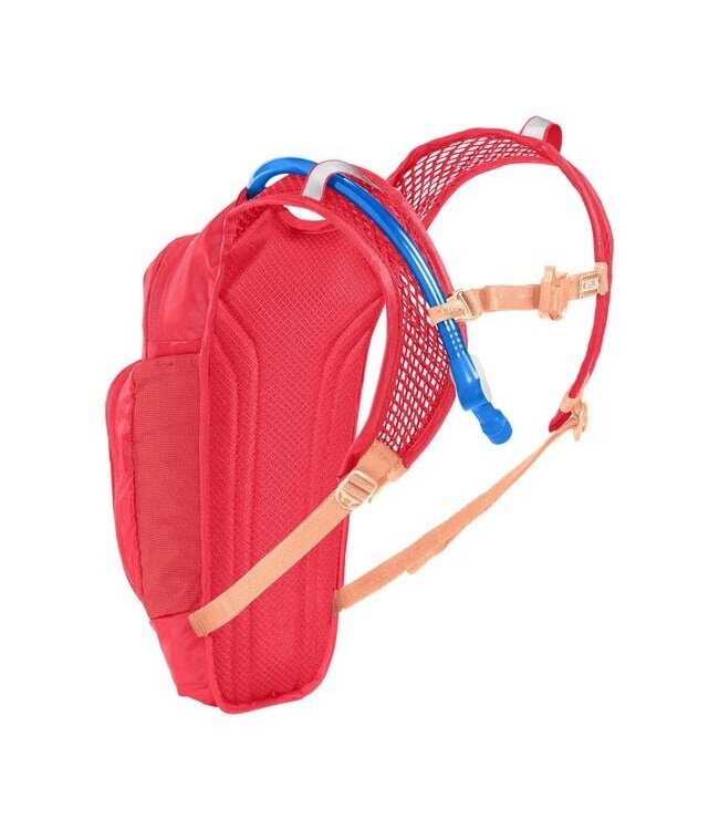 CamelBak Mini M.U.L.E. 50oz