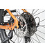 Troxus 2025 T-XC