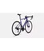 Specialized 2025 Allez Sprint Comp