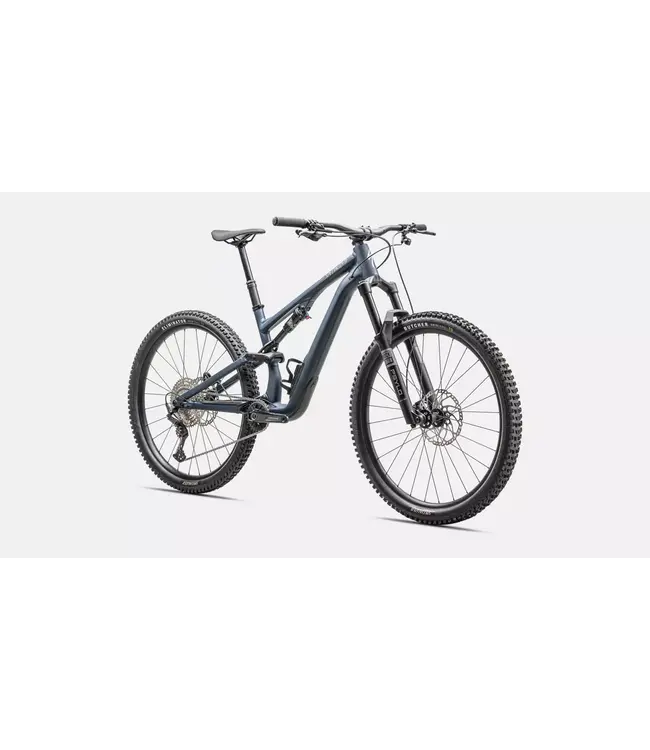 Specialized 2025 Stumpjumper 15 Alloy