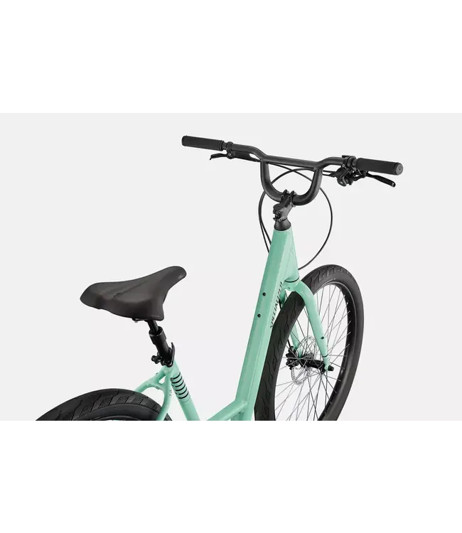 Specialized 2023 Roll 3.0 Low Entry