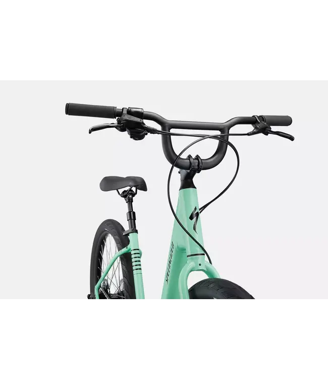 Specialized 2023 Roll 3.0 Low Entry