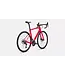 Specialized 2026 Roubaix SL8 Sport