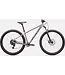 Specialized 2024 Rockhopper Sport 29