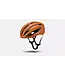 Specialized Loma Helmet CPSC