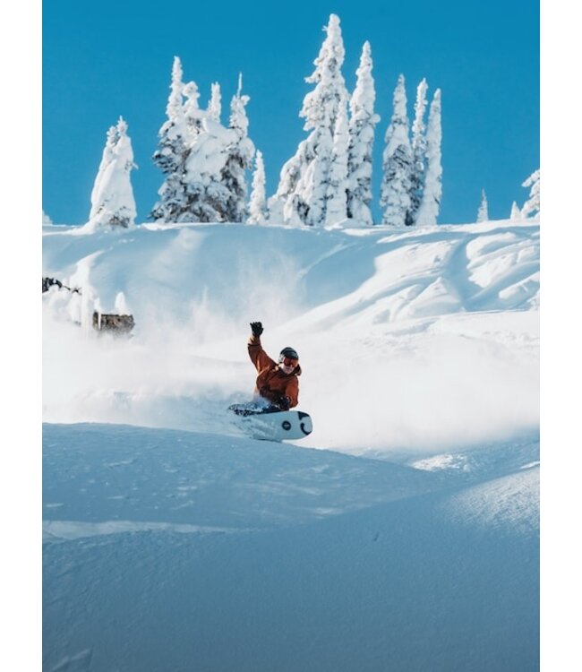 Burton 2026 Family Tree Hometown Hero Camber Snowboard