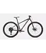 Specialized Rockhopper Comp 29