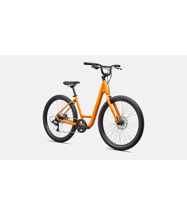 Specialized 2026 Roll 2.0 Low Entry