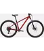 Specialized 2026 Rockhopper Sport 29