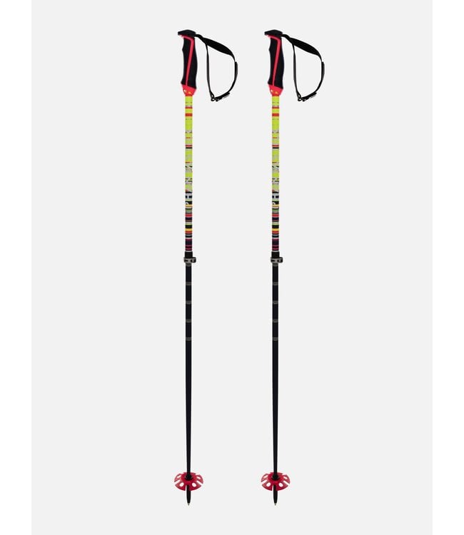 Völkl Phantastick Fr Poles (Adjustable) Poles 2026 One Size