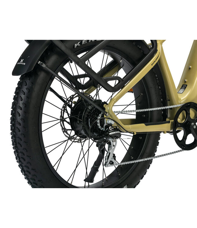 Troxus 2025 Explorer Plus Step Over