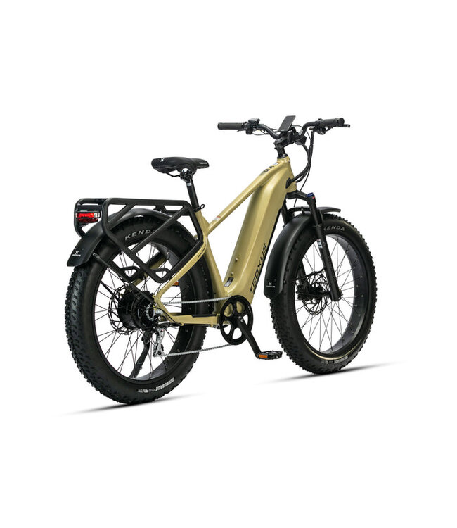 Troxus 2025 Explorer Plus Step Over