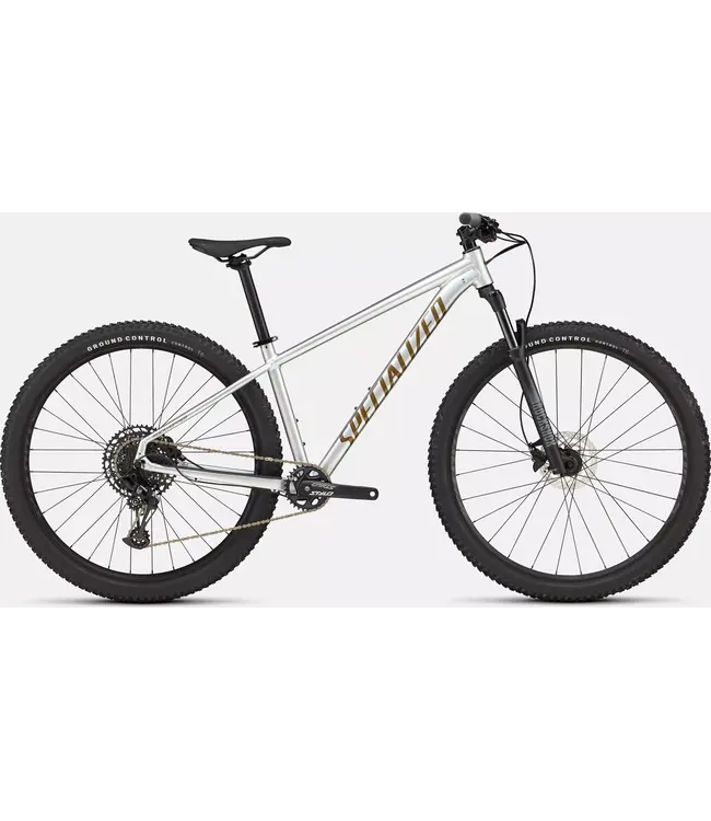Specialized ROCKHOPPER EXPERT SILDST/BNTGLDMET L - 29