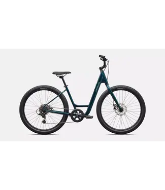 Specialized ROLL 2.0 LOW ENTRY