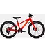 Specialized RIPROCK 20