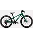 Specialized RIPROCK 20