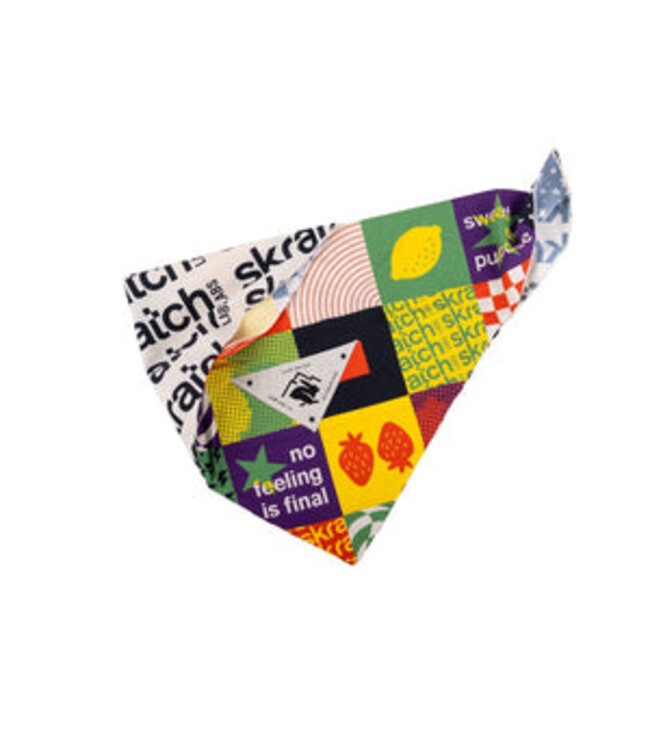 Skratch Labs Skratch Ice RAD-dana