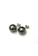 Tahitian Pearl Stud Earrings 14KW