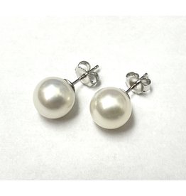 Freshwater Pearl Studs