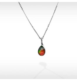 Korite Essentials Teardrop Ammolite Pendant