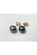 Dark Freshwater Pearl Stud Earrings 14KY