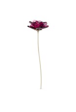 Swarovski Swarovski Garden Tales Crystal Rose