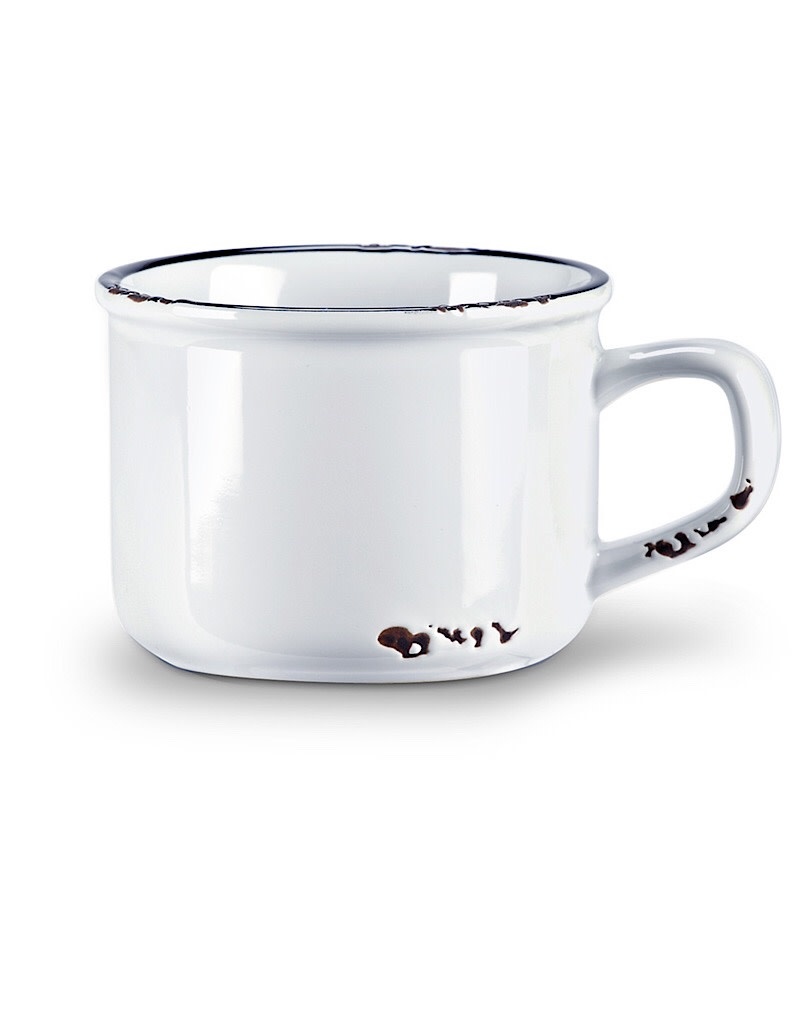 Abbott Enamel Look Cappuccino Mug