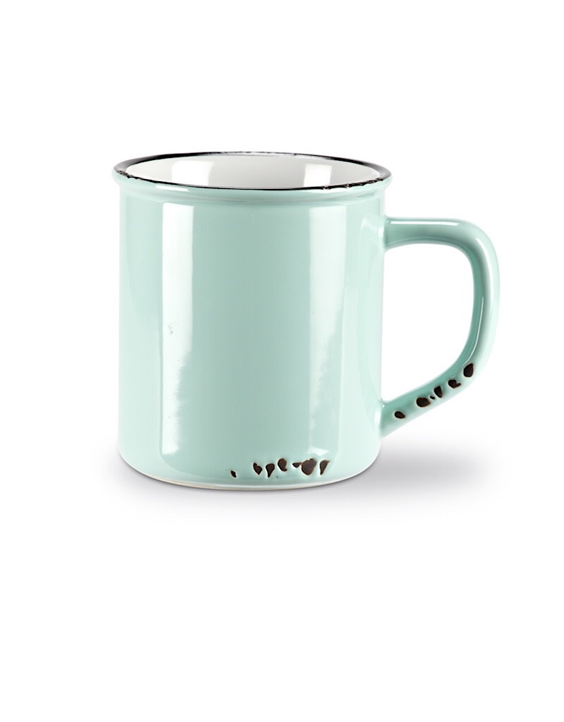 Abbott Enamel Look Mug