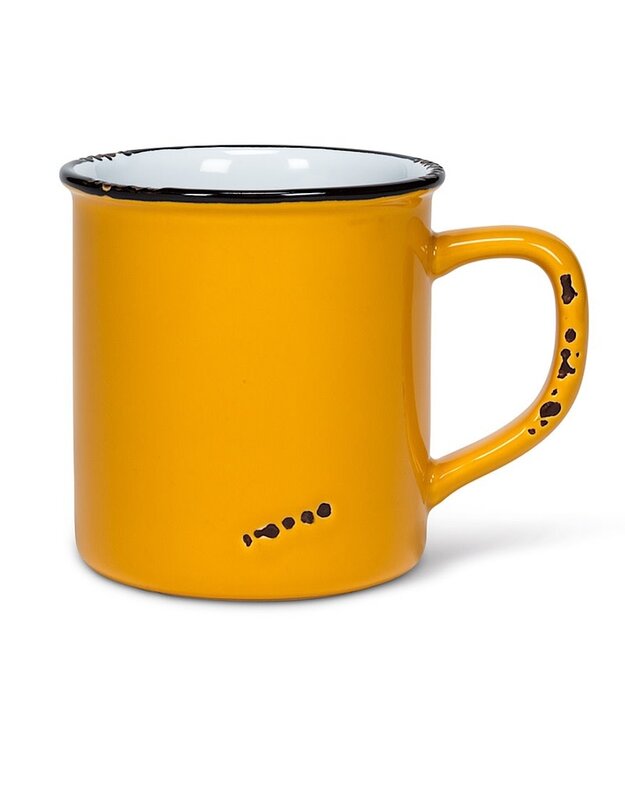 Abbott Enamel Look Mug